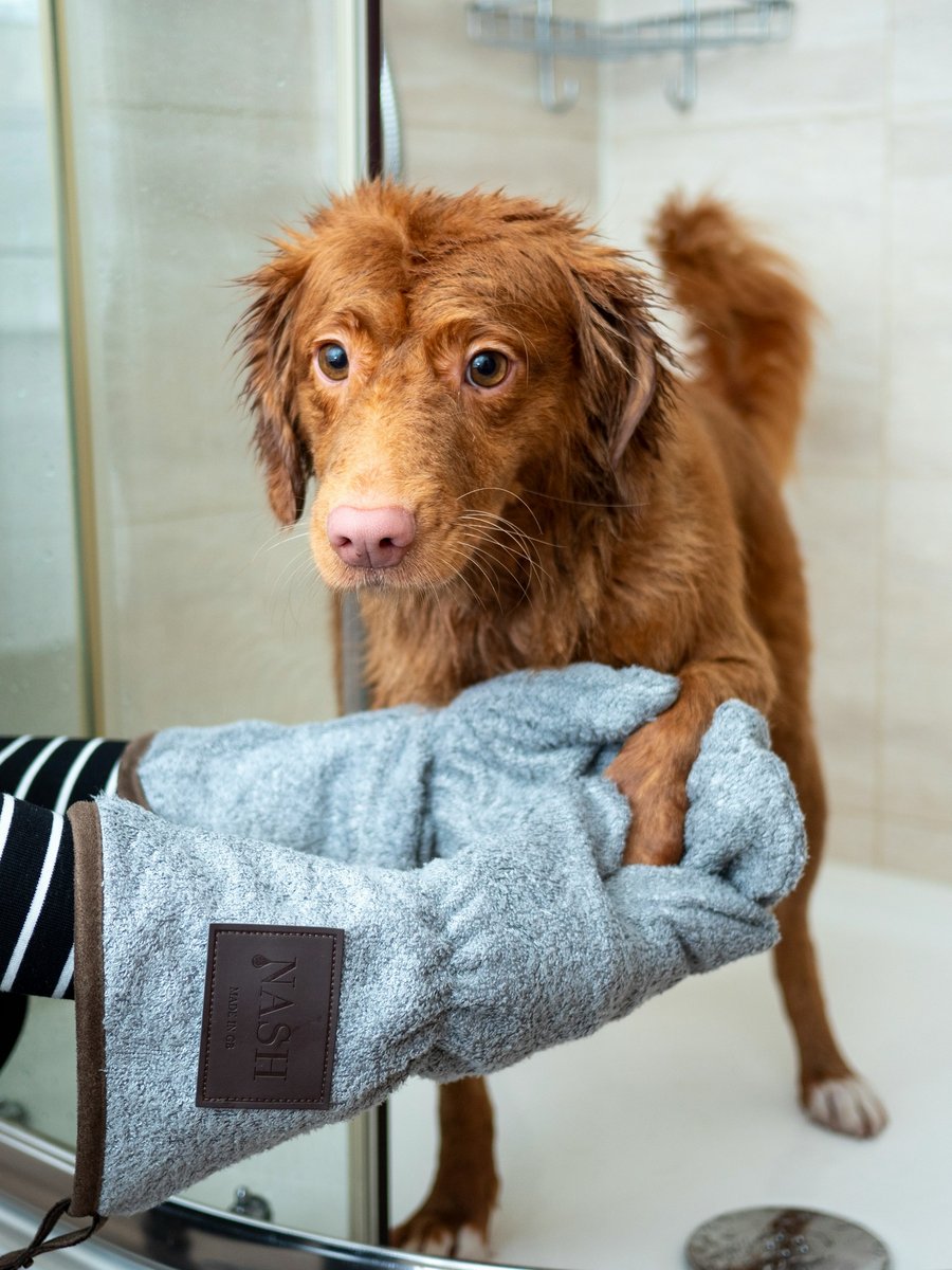 A wet retriever puppy being carefully towel-dried after a bath